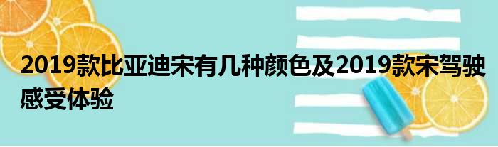 2019款比亚迪宋有几种颜色及2019款宋驾驶感受体验