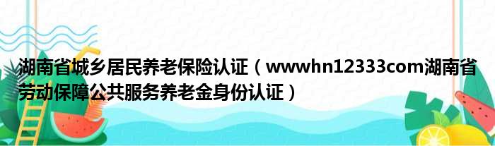 湖南省城乡居民养老保险认证（wwwhn12333com湖南省劳动保障公共服务养老金身份认证）