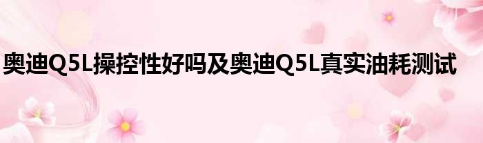 奥迪Q5L操控性好吗及奥迪Q5L真实油耗测试