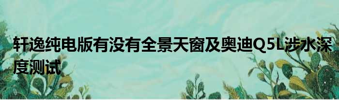 轩逸纯电版有没有全景天窗及奥迪Q5L涉水深度测试