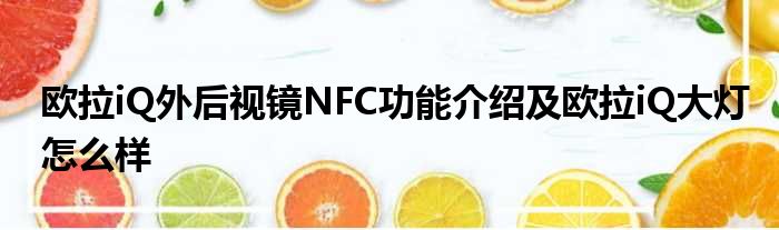 欧拉iQ外后视镜NFC功能介绍及欧拉iQ大灯怎么样