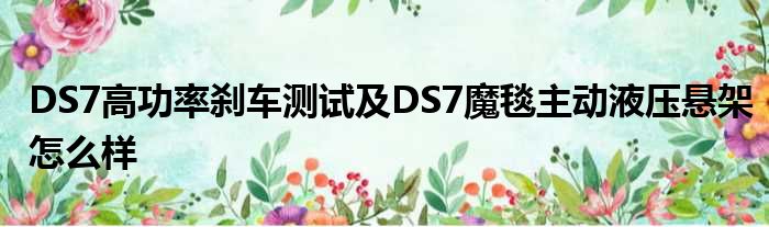 DS7高功率刹车测试及DS7魔毯主动液压悬架怎么样