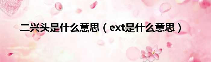 二兴头是什么意思（ext是什么意思）