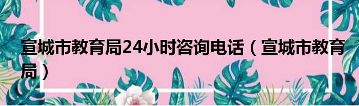 宣城市教育局24小时咨询电话（宣城市教育局）