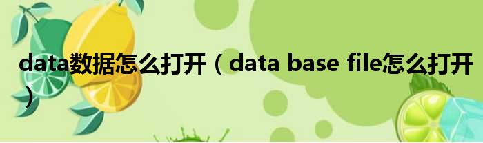 data数据怎么打开（data base file怎么打开）