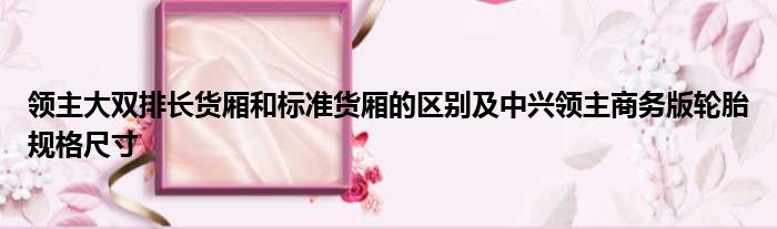 领主大双排长货厢和标准货厢的区别及中兴领主商务版轮胎规格尺寸