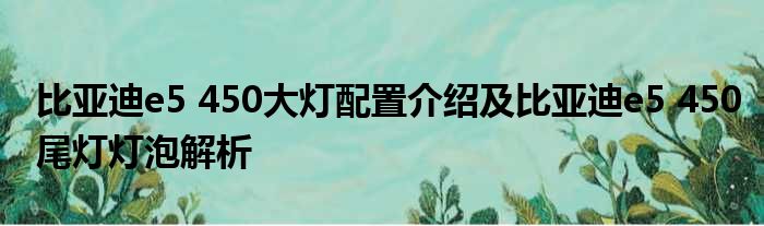 比亚迪e5 450大灯配置介绍及比亚迪e5 450尾灯灯泡解析