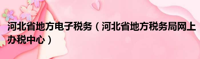 河北省地方电子税务（河北省地方税务局网上办税中心）