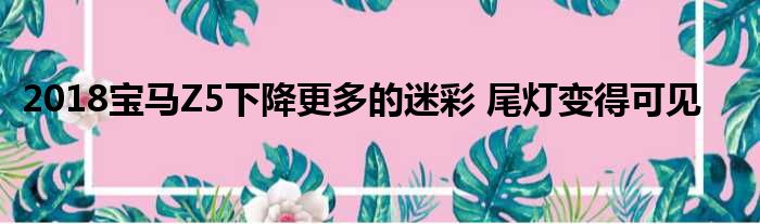 2018宝马Z5下降更多的迷彩 尾灯变得可见