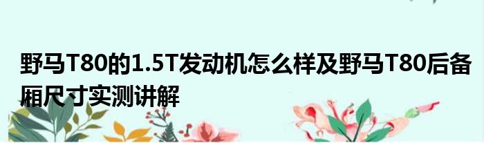 野马T80的1.5T发动机怎么样及野马T80后备厢尺寸实测讲解