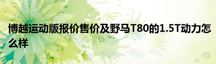 博越运动版报价售价及野马T80的1.5T动力怎么样