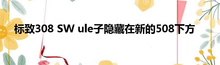 标致308 SW ule子隐藏在新的508下方