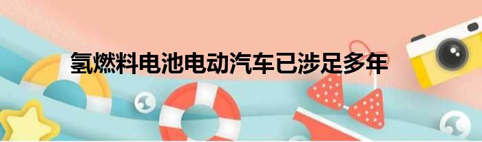 氢燃料电池电动汽车已涉足多年