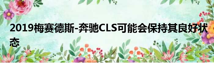 2019梅赛德斯-奔驰CLS可能会保持其良好状态