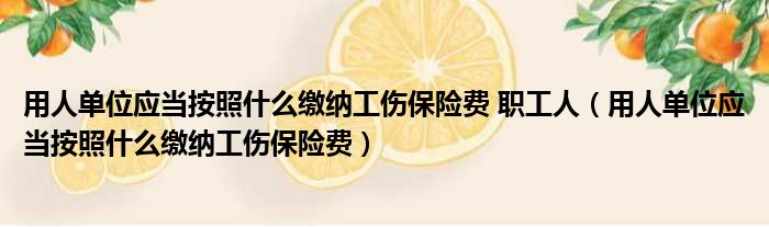 用人单位应当按照什么缴纳工伤保险费 职工人（用人单位应当按照什么缴纳工伤保险费）