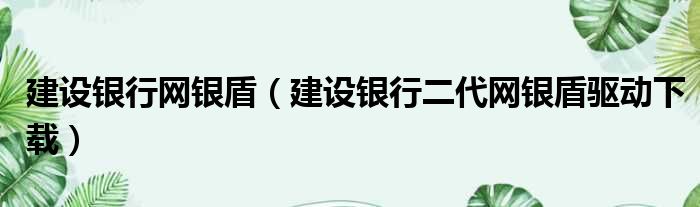 建设银行网银盾（建设银行二代网银盾驱动下载）