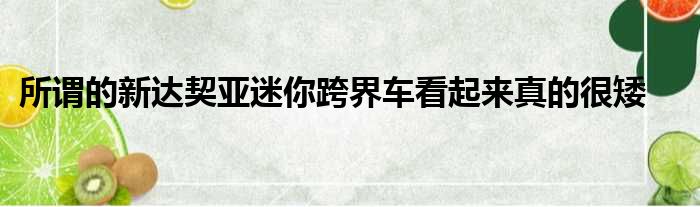 所谓的新达契亚迷你跨界车看起来真的很矮