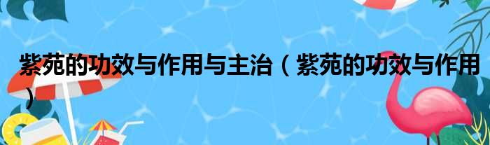 紫苑的功效与作用与主治（紫苑的功效与作用）