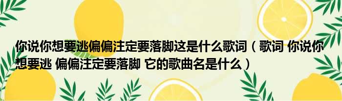 你说你想要逃偏偏注定要落脚这是什么歌词（歌词 你说你 想要逃 偏偏注定要落脚 它的歌曲名是什么）