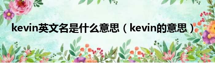 kevin英文名是什么意思（kevin的意思）