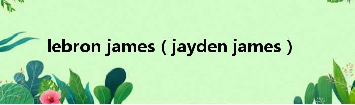 lebron james（jayden james）