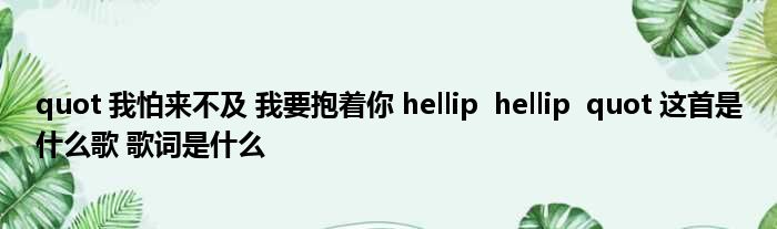 quot 我怕来不及 我要抱着你 hellip  hellip  quot 这首是什么歌 歌词是什么