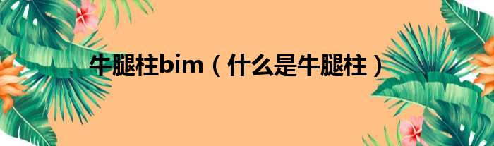 牛腿柱bim（什么是牛腿柱）