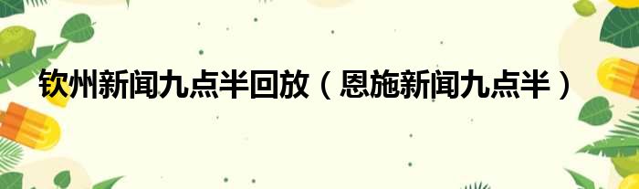 钦州新闻九点半回放（恩施新闻九点半）