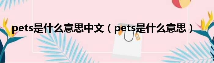 pets是什么意思中文（pets是什么意思）