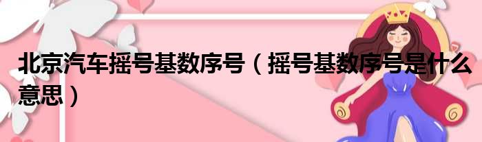 北京汽车摇号基数序号（摇号基数序号是什么意思）