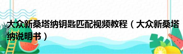 大众新桑塔纳钥匙匹配视频教程（大众新桑塔纳说明书）