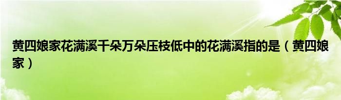 黄四娘家花满溪千朵万朵压枝低中的花满溪指的是（黄四娘家）