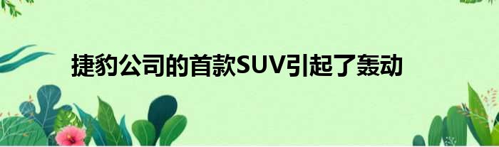 捷豹公司的首款SUV引起了轰动