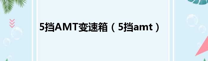 5挡AMT变速箱（5挡amt）