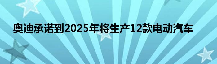 奥迪承诺到2025年将生产12款电动汽车