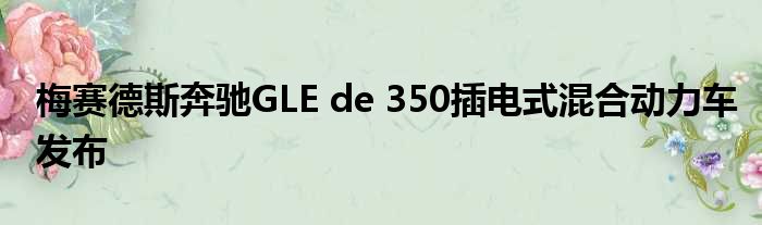 梅赛德斯奔驰GLE de 350插电式混合动力车发布