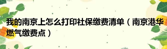 我的南京上怎么打印社保缴费清单（南京港华燃气缴费点）