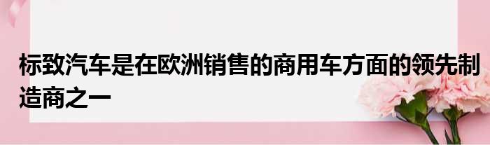 标致汽车是在欧洲销售的商用车方面的领先制造商之一