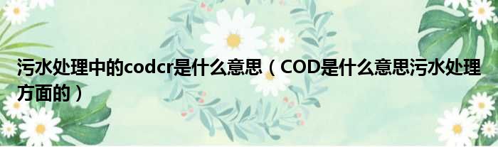 污水处理中的codcr是什么意思（COD是什么意思污水处理方面的）