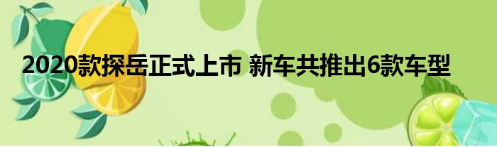 2020款探岳正式上市 新车共推出6款车型