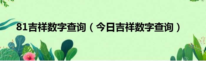 81吉祥数字查询（今日吉祥数字查询）