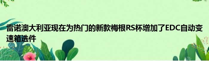 雷诺澳大利亚现在为热门的新款梅根RS杯增加了EDC自动变速箱选件