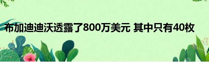 布加迪迪沃透露了800万美元 其中只有40枚