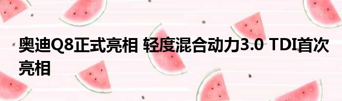 奥迪Q8正式亮相 轻度混合动力3.0 TDI首次亮相