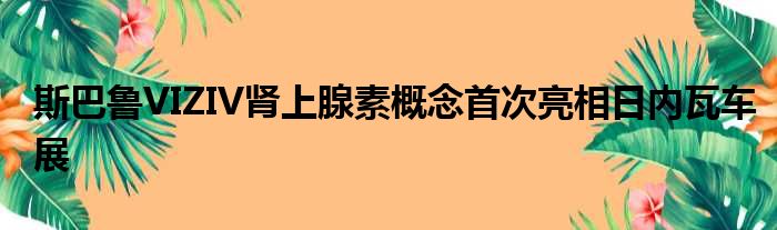 斯巴鲁VIZIV肾上腺素概念首次亮相日内瓦车展