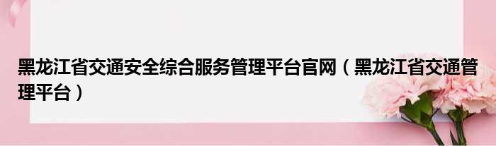 黑龙江省交通安全综合服务管理平台官网（黑龙江省交通管理平台）