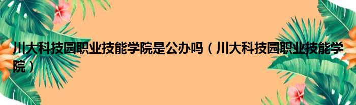 川大科技园职业技能学院是公办吗（川大科技园职业技能学院）