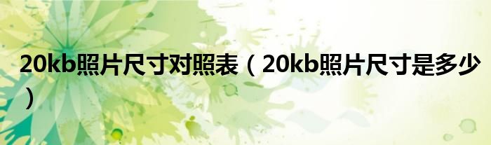 20kb照片尺寸对照表（20kb照片尺寸是多少）