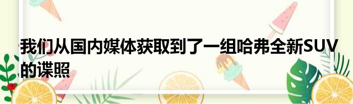 我们从国内媒体获取到了一组哈弗全新SUV的谍照