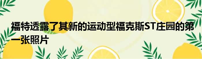 福特透露了其新的运动型福克斯ST庄园的第一张照片